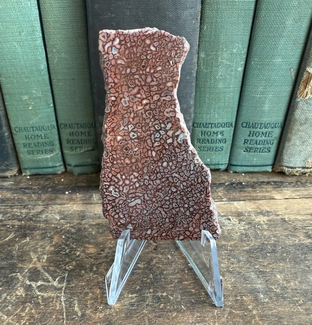 Beautiful Dinosaur Gembone Display Slab | Stunning Pink Cell Gembone ...