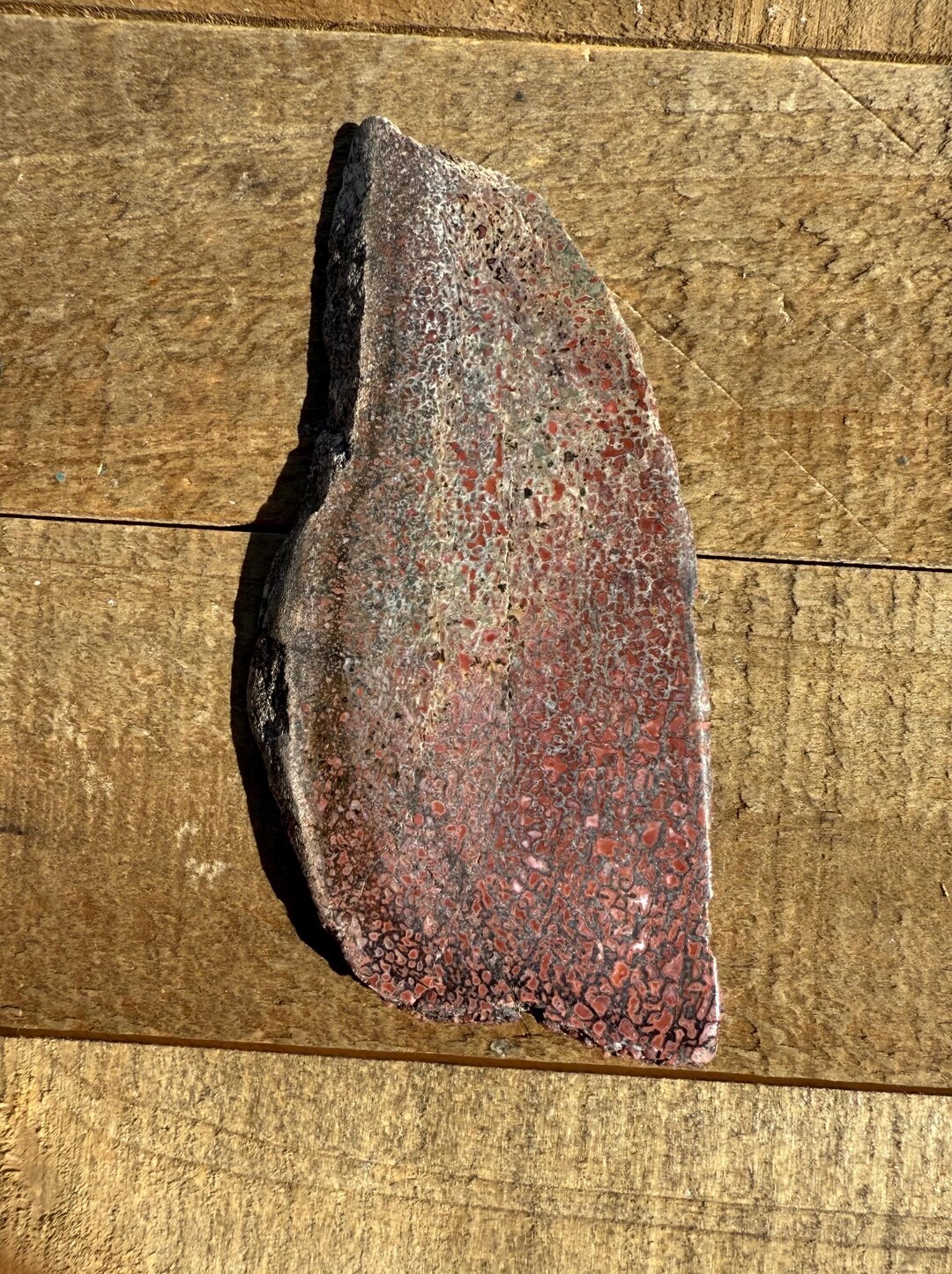 Pink Dinosaur Gembone Display Slab | Stunning Gembone | Genuine ...