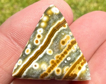 Ocean Jasper Cabochon | Orbicular Jasper | Madagascar | Patience Protection Grounding | 23mm | 7214