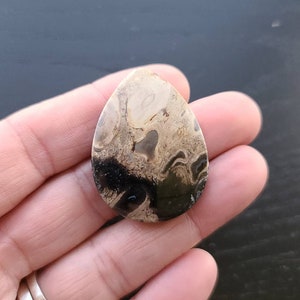 Fossilized Palm Wood Root Cab | Cabochon Supply | Gemstone Cabochon | Jewelry Supply | 38mm | P8