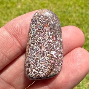 May include: A polished, rounded stone featuring a complex, intricate pattern of deep reddish-brown, cream, and white interlocking shapes. The surface has a smooth, glossy texture with a mosaic-like appearance, displaying varied mineral inclusions.