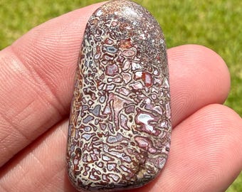 Pink Pastel Dinosaur Gembone Freeform Cabochon | Fossil Jewelry Supply | Genuine Dinosaur | 33mm | Paleontology | 7211