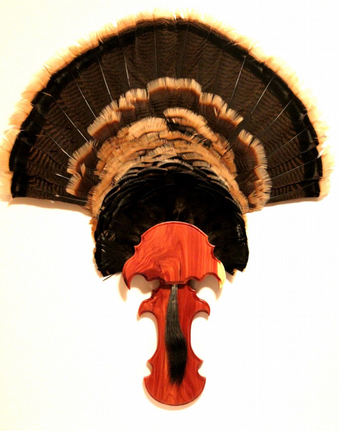 Turkey Fan & Beard Mounting Kit Spurred Wood Etsy Italia