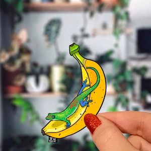Gold Dust Day Gecko On a Banana Sticker