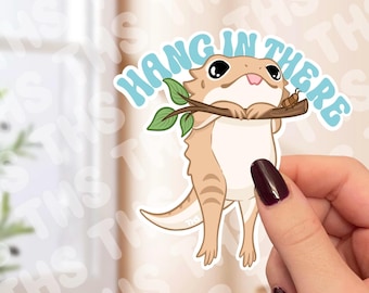 Hang In There Beardie