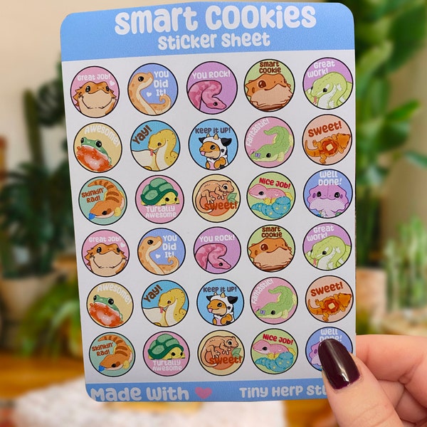 Smart Cookie Sticker Sheet