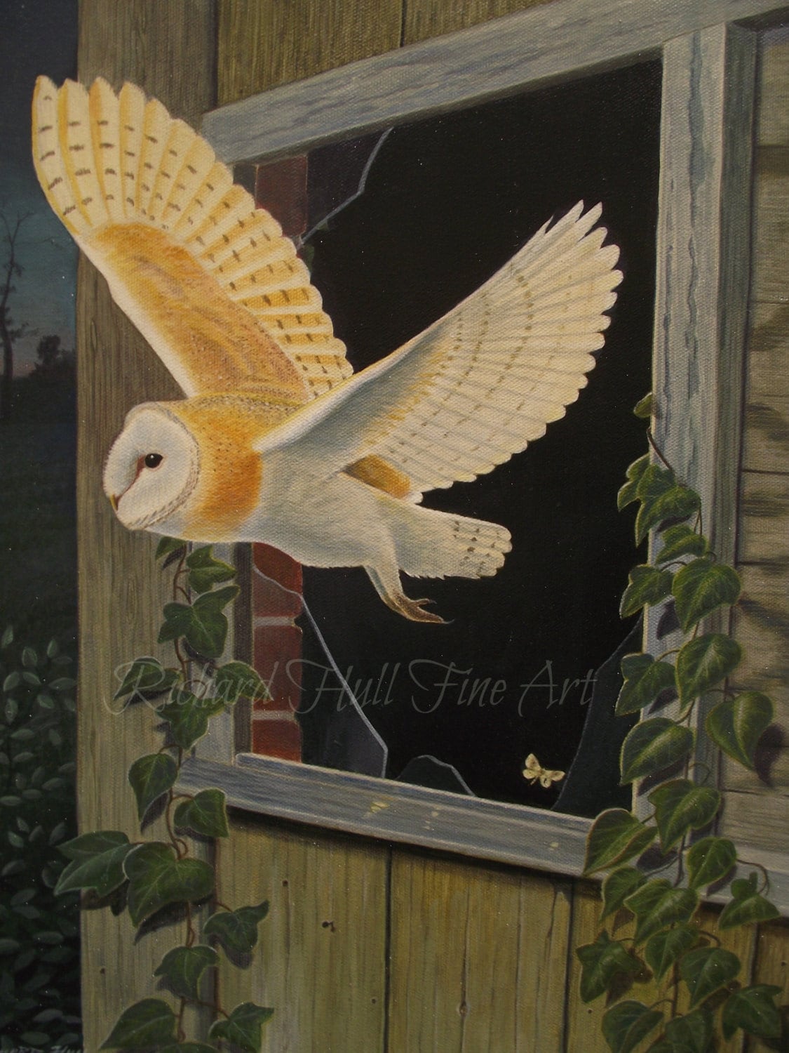 Barn, Owl, Original, Painting, Acrylic, On Board, Richard Hull, Fine Art, Wall, Art, Living Room, Co
