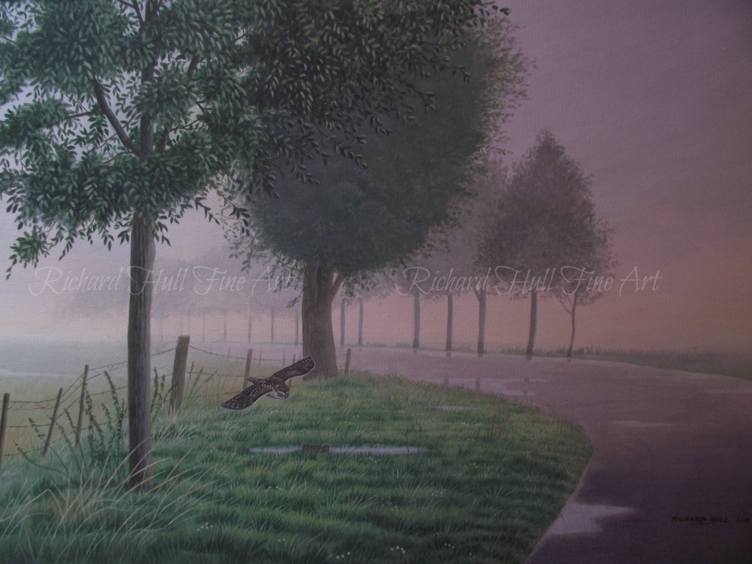 Little Owl, In The Mist, (Holland), 2015, Acrylic On Canvas, Original Painting, Richard Hull, Fine A