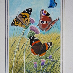 Gems In The Meadow, Limited Edition, A4, Giclee, Print, Richard Hull, Fine Art, Butterflies, Peacock, Red Admiral, Painted Lady, Gift, Mum