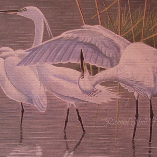 Fine Wall Art Etsy UK