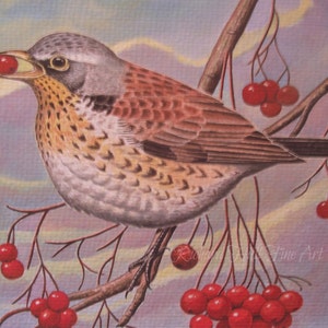 Fieldfare, 2015, Originale, Acquerello, Pittura, Richard Hull, Belle arti, Pittura, Bacche, Autunno, Inverno, Regalo, Presente, Moglie, Marito