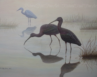 Glossy Ibis And Little Egret, 2012, Original Art Work, Acrylic On Canvas, Richard Hull Fine Art