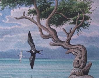 Divi-divi Tree, 2015, Original Watercolour Painting, Richard Hull Fine Art