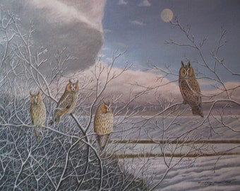 Long-Eared Owls At Winter Roost, 2015, Acrylic On Canvas, Original Painting, Richard Hull, Fine Art, Collectible, Wall, Display, Wildlife