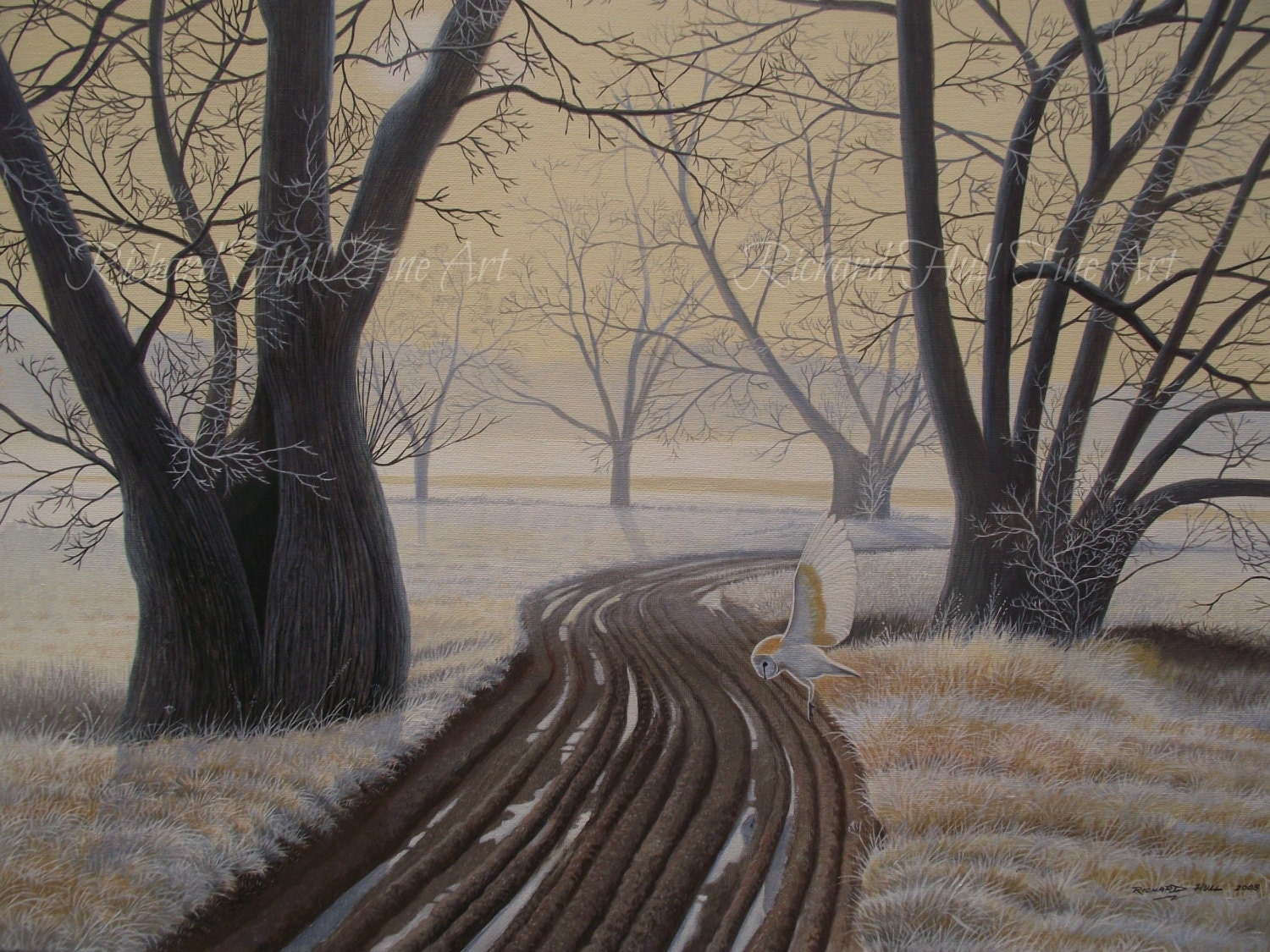 Barn Owl In Winter Landscape Limited Edition A3 Giclee Print Richard Hull Fine Art