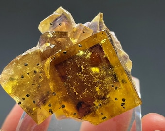 Fluorite, Bergmännisch Glück Mine, Frohnau, Erzgebirgskreis Saxony, Germany