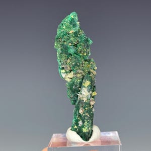 Malachite, Pseudomorph Azurite, Tsumeb Mine, Oshikoto Region, Namibia