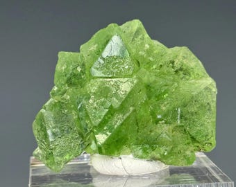 Könnte beinhalten: Ein leuchtend limettengrünes Mineralpräparat mit sichtbaren Kristallstrukturen. Das Mineral befindet sich auf einem weißen Sockel und wird auf einem transparenten, rechteckigen Ständer präsentiert. Der Hintergrund ist einfarbig, neutralgrau.