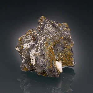 May include: A raw mineral specimen featuring a dark gray, metallic base with clusters of small, golden-colored pyrite crystals and patches of white, opaque mineral formations embedded across its irregular, jagged, and textured surface.