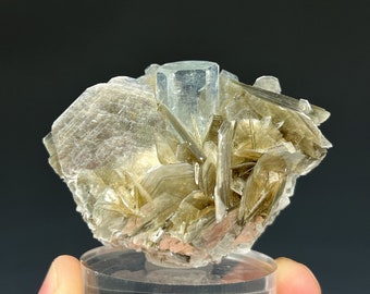 Aquamarine on Muscovite, Shigar Valley, Gilgit-Baltistan, Pakistan