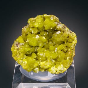 Può includere: Un vivace campione di minerale giallo-verde con una struttura cristallina. Il minerale è composto da numerosi piccoli cristalli a forma di cubo raggruppati. Il campione è esposto su un supporto trasparente e chiaro su uno sfondo scuro.