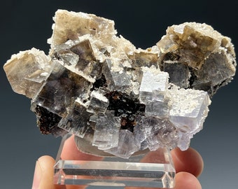 Fluorite with Baryte and Sphalerite, Minerva No. 1 Mine, Cave-In-Rock, Hardin County, Illinois