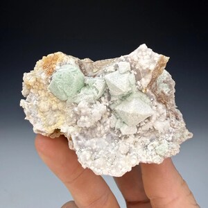 May include: A mineral specimen featuring pale green, translucent octahedral crystals embedded in a textured, white, and tan matrix. The cluster displays sharp geometric crystal formations contrasted against a rough, granular, and crystalline base.