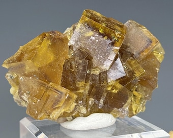 Fluorite, Bergmännisch Glück Mine, Frohnau, Erzgebirgskreis Saxony, Germany