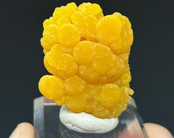 Mimetite, Congreso-León Mine, San Pedro Corralitos, Chihuahua, Mexico