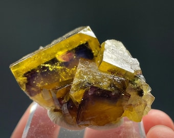 Fluorite, Bergmännisch Glück Mine, Frohnau, Erzgebirgskreis Saxony, Germany