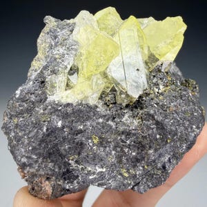 May include: A natural mineral specimen featuring a cluster of translucent, pale yellow crystals atop a dark gray matrix. The crystals have a prismatic shape, and the matrix has a rough, textured appearance. The specimen is held in a hand.