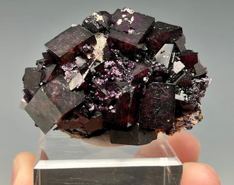 Fluorite, Zehntausend Ritter Mine, Frohnau,Erzgebirgskreis, Saxony, Germany