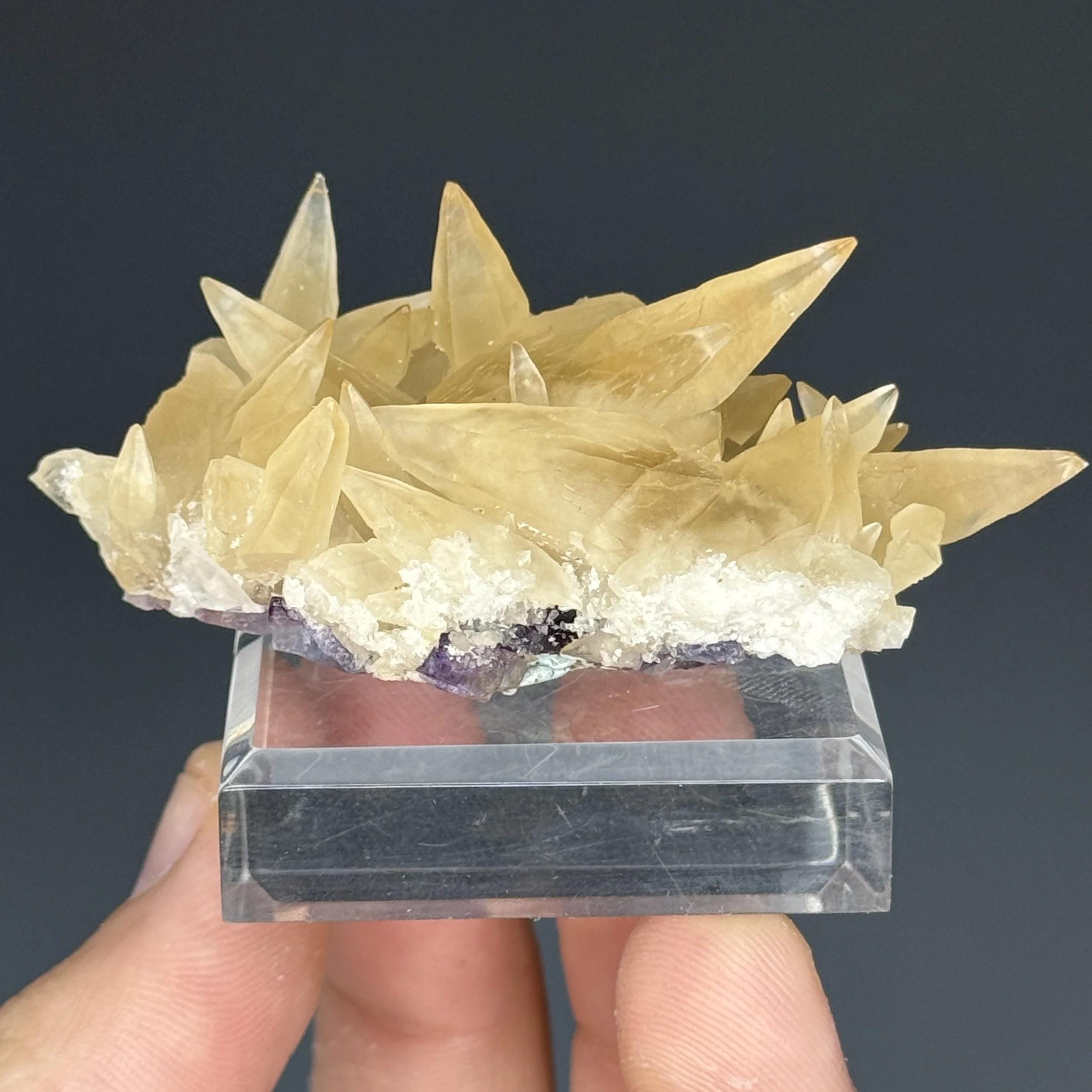 置物 Minerva Mine#1 Minerva No 1 Mine - Etsy Canada