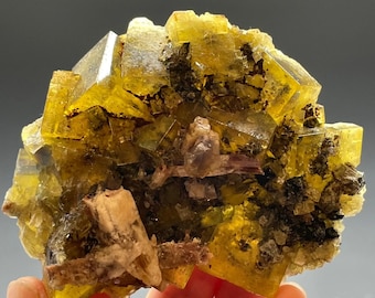 Fluorite, Bergmännisch Glück Mine, Frohnau, Erzgebirgskreis Saxony, Germany