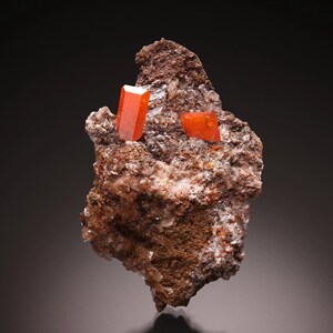 Puede incluir: Primer plano de un espécimen mineral con una matriz de roca marrón y beige. Se muestran dos cristales de color rojo anaranjado vibrante, uno más grande en posición vertical y otro más pequeño a la derecha. El fondo es gris oscuro.