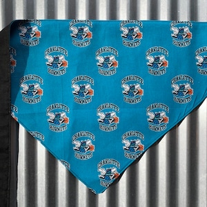 Charlotte Hornets Dog Bandana