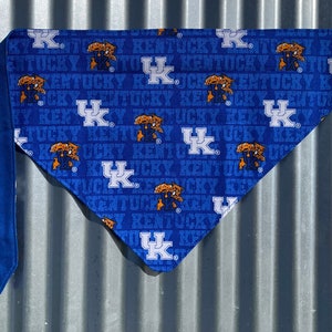 Kentucky Wildcats Dog Bandana #2
