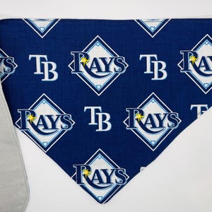 Tamp Bay Rays Hundehalstuch