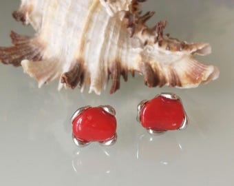 May include: A pair of red coral earrings with silver settings. The earrings are small and round, and they are set in a simple, elegant design.