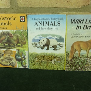 3 nice vintage ladybird books Animals and Fossils