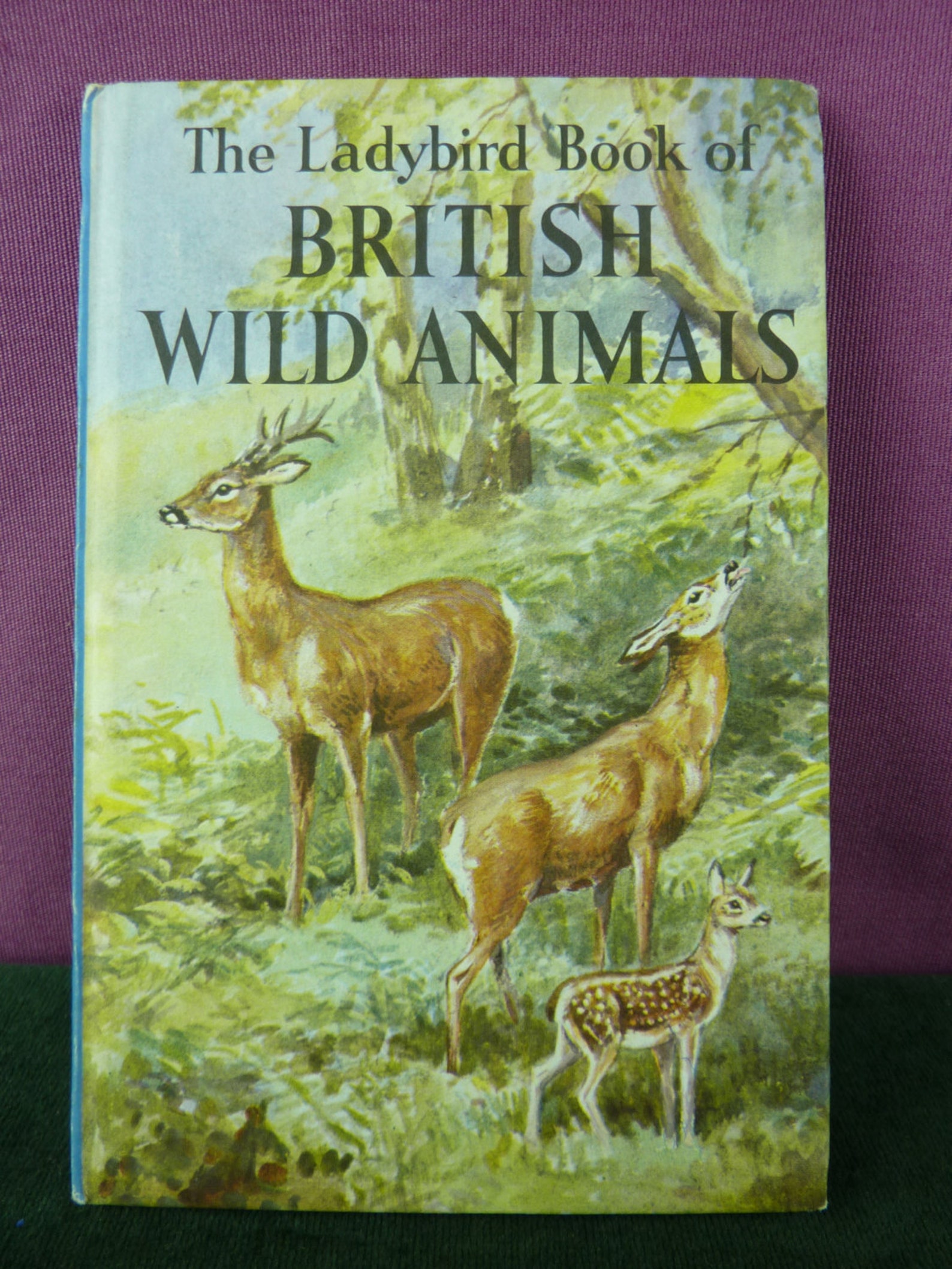 Vintage Ladybird book series 536 British Wild Animals marked Etsy