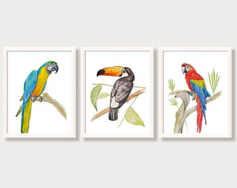 TROPICAL BIRDS MACAW PARROT ANIMAL POSTER PICTURE PRINT Sizes A5 to A0 **NEW**
