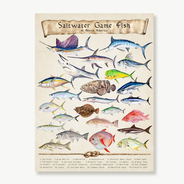 Saltwater Fish Poster, Ocean Fish Art, Deep Sea Fishing Gifts for Men, Angling Wall Art Print, Deep Sea Fishing, Vintage style, Marine Life