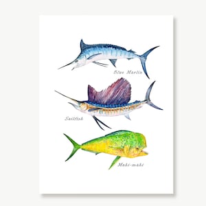 Ocean Fishes Painting, Saltwater Fish Art Print, Wall Art, Fish Décor, Blue Marlin, Sailfish, Mahi-Mahi, Bull Dolphin, Illustration, Drawing