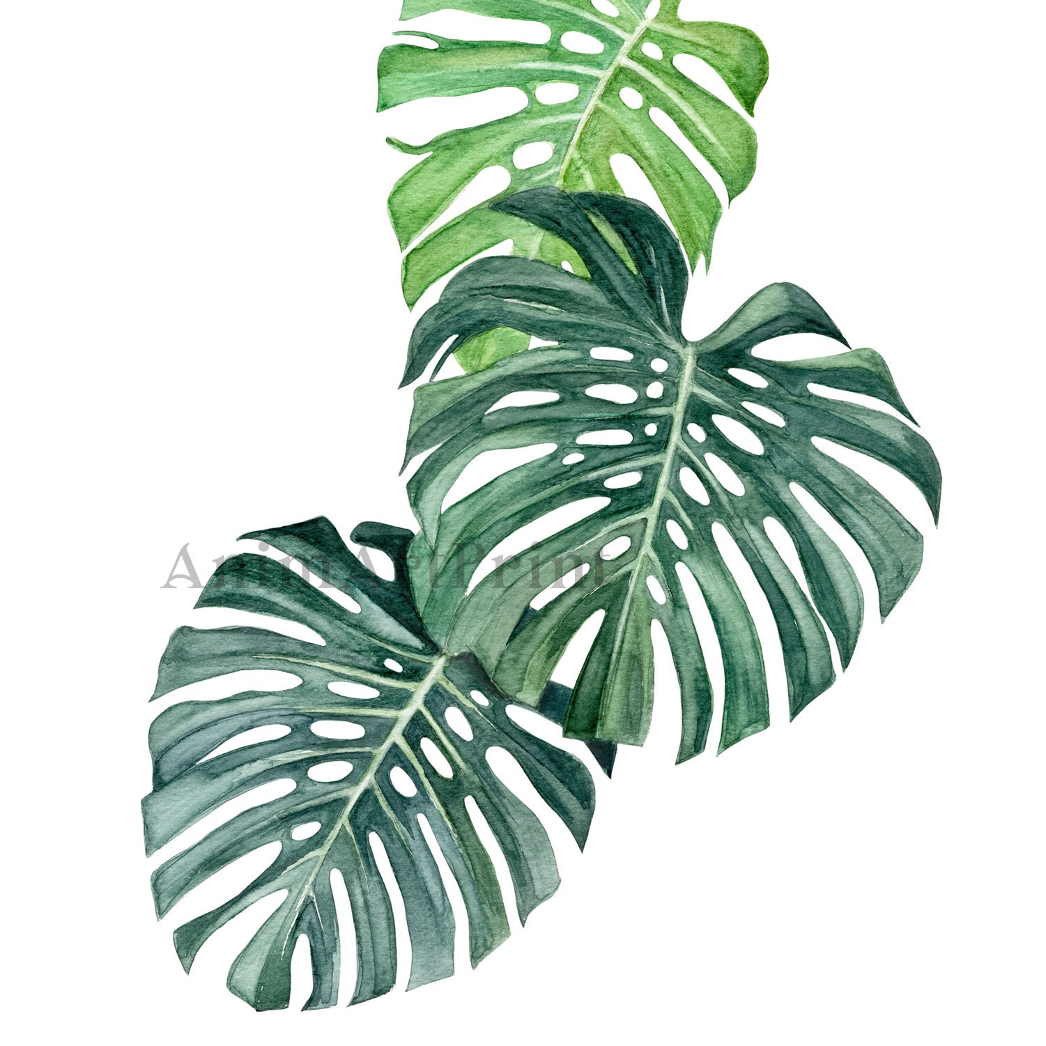 Jungle Nursery Decor Black & White Nursery Animal Prints Etsy Australia