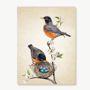 American Robin, Robin&#39;s nest, Robin&#39;s eggs, Bird Print, Easter Décor, Spring Décor, Apple Tree & Songbird Painting, Vintage Style Art Print