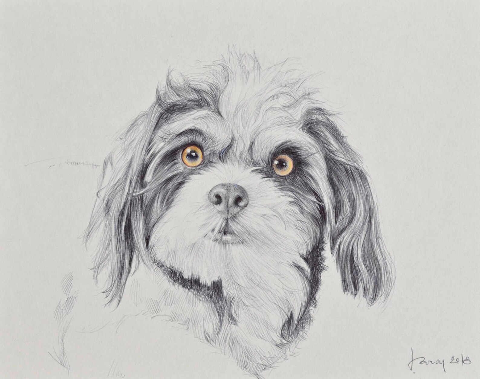 Pet Portrait Custom Pet Portrait Drawing From Photo Pet Etsy
