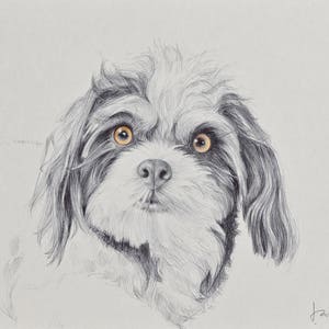 Pet Portrait, Custom Pet Portrait Drawing from Photo, Pet Drawing Commission Art, ORIGINAL Art, Personalized Pet Loss Gifts, Pet Memorial image 6