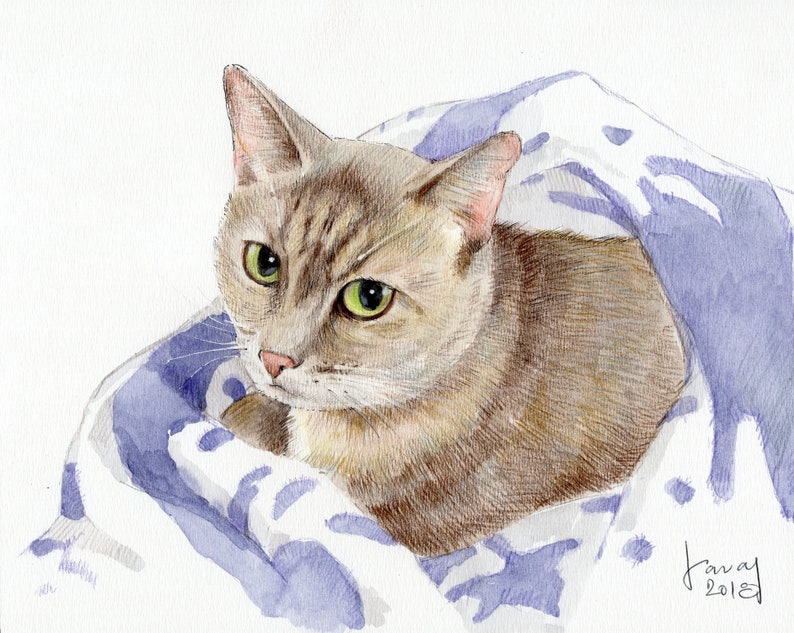 Custom Portrait Illustration Drawing Cat Art Commission Personalized Gift Pet Watercolor Painting Pet Portrait Pet Memorial Dog