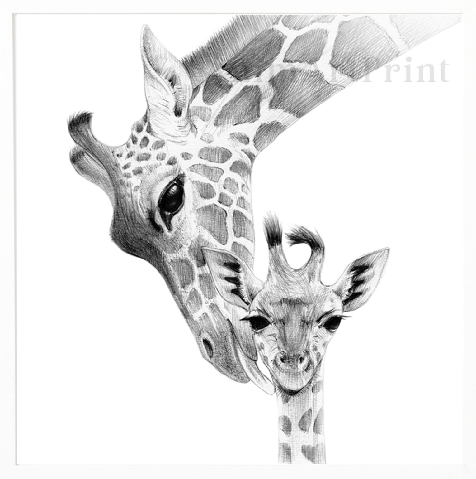 Jungle Nursery Decor Black & White Nursery Animal Prints Etsy Australia